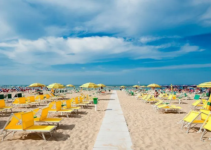 Napoleon Каттолика